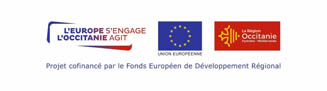 Logo Région Europe